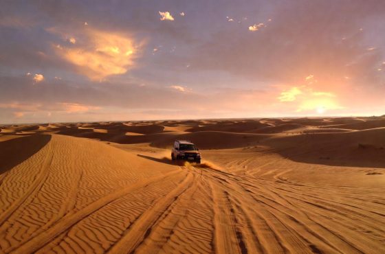 Top 10 Places to Visit in Dubai You Can’t Miss (2026 + Free Spots)