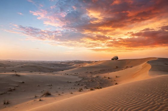 Morning Desert Safari vs Evening Desert Safari: Which Should You Choose?