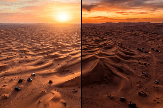 Morning vs Evening Desert Safari Dubai Honest Comparison
