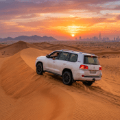 Evening Desert Safari