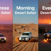 Morning vs Evening vs Sunrise Desert Safari Dubai — Which to Book?