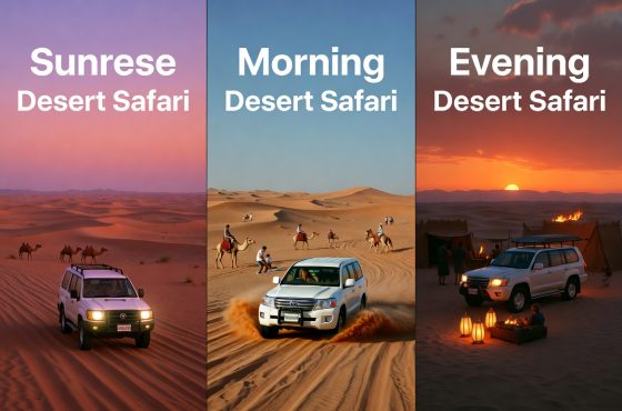 Morning vs Evening vs Sunrise Desert Safari Dubai — Which to Book?