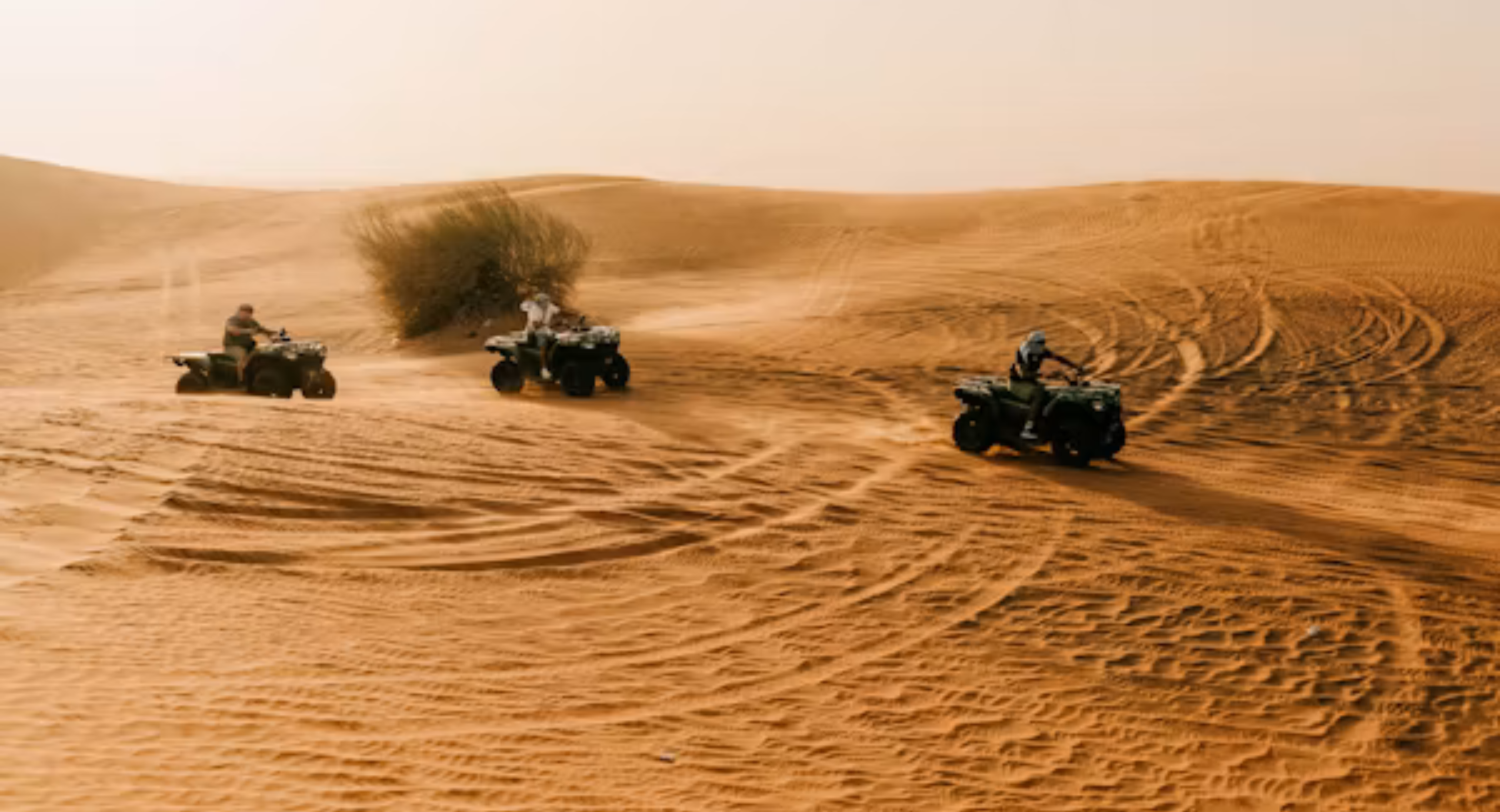 Evening Desert Safari + 30-Min Quad Bike Dubai